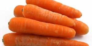 Carrot