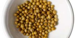 Coriander Seeds