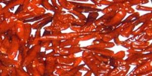 Red Chili