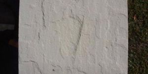 Beige Natural Sandstone