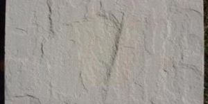 Beige SandStone