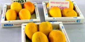 Laxman Bhog Mangoes