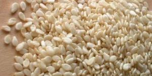 Sesame Seeds