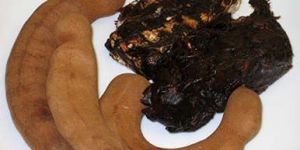 Tamarind