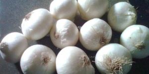 White Onion