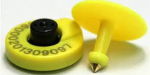 RFID Animal Tags
