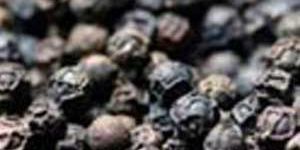 Black Pepper Seeds