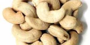 Cashew Nut
