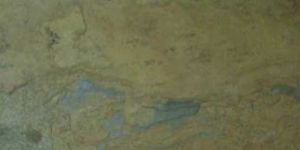 Vijaya Gold Slate Stone