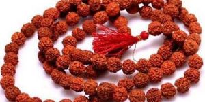 Rudraksha Beads Mala