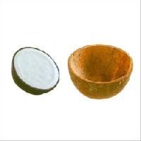 Coconut Shell Ice Cream Cups