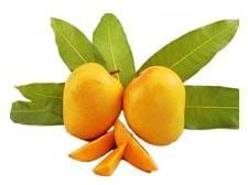 Alphonso Mangoes