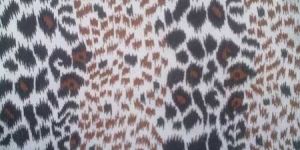 Viscose Print Design Shawl