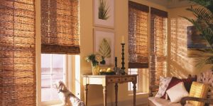 Residential Window Blinds