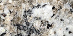 Biotite Granite