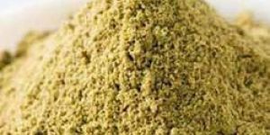 Coriander Powder