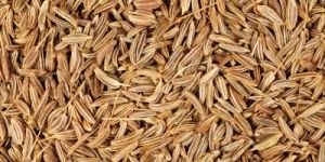 Cumin Seeds