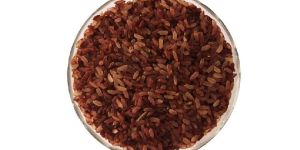 Red Rice