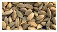 Cardamom Seeds