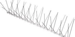 Bird Spike