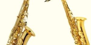 Saxophone