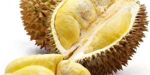 Durian Fruit