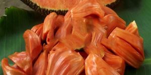 Jack Fruit Red