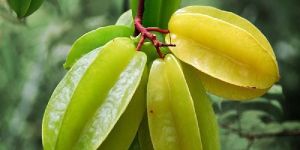 Star Fruit