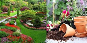 Garden Development Contracting Services