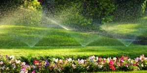 Landscape Irrigation Services