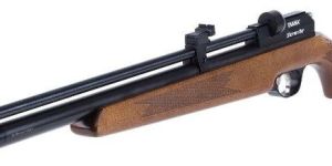 Air Gun