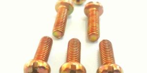 Pan Combination Screw