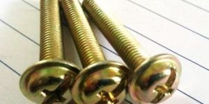 Washer Head Screw