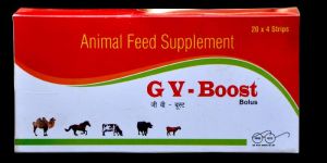 GV-Boost Bolus
