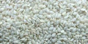 Sesame Seeds