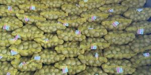 Fresh Potato