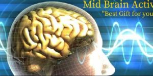 Adult Mid Brain Activation