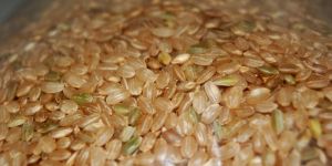 Brown Rice
