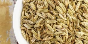 Fennel Seeds