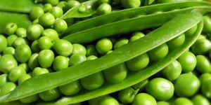 Fresh Green Peas (Pattani)