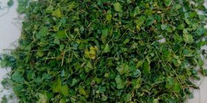 Fresh Fenugreek Leaves