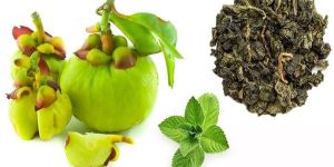 Garcinia Cambogia
