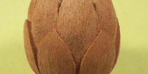 Coconut Shell Lotus Flower