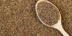 Cumin Seeds