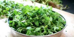Fresh Fenugreek Leaves