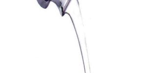 Bipolar Hip Prosthesis