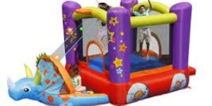 Inflatable Bouncer Castle