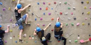 Sports Climbing Wall