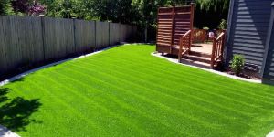 Synthetic Grass Lawn