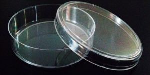 Petri Dish